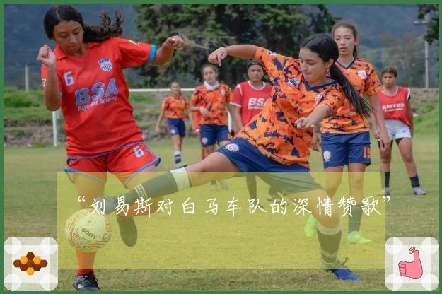 “刘易斯对白马车队的深情赞歌”